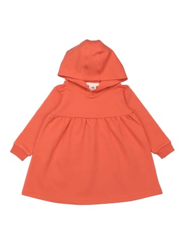 Walkiddy Kleid Langoustine - Sweatdress