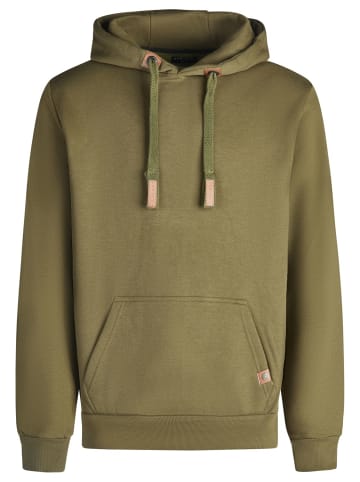 DENIMFY Sweatshirt DFIvo in Grün