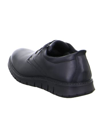 ara Klassische Schnürschuhe in Schwarz