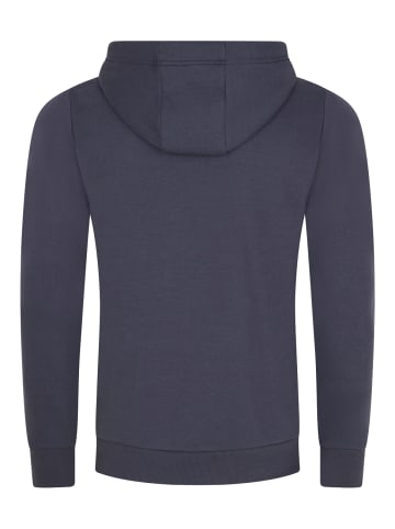 DENIMFY Sweatshirt DFBenno in Blau