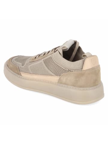 Palado Low Sneaker in beige