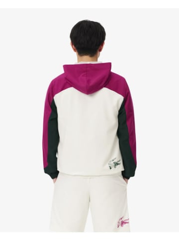Lacoste Trainingsjacke in Farine/Sinople-Rubine