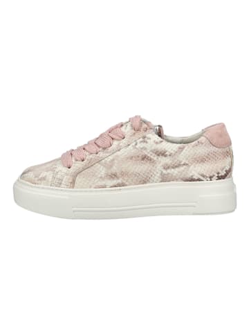 Paul Green Sneaker in Rose
