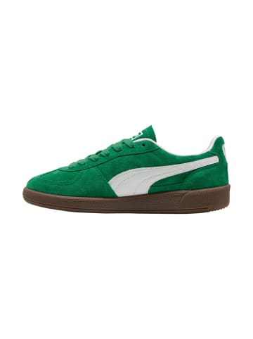 Puma Sneaker Basse aus Leder Palermo Grün