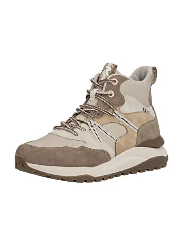 rieker Schnürboots in Beige