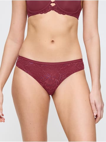 Triumph Brasilslip Amourette Charm Brazilian in SWEET MARSALA