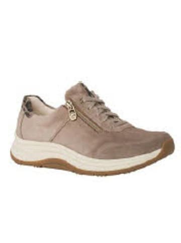Ganter Sneaker Low in braun