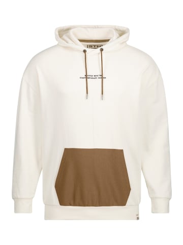 STHUGE Sweatshirt in taupe