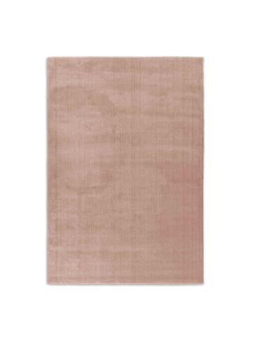 Astra Hochflorteppich DOMASO 1 in Rosa