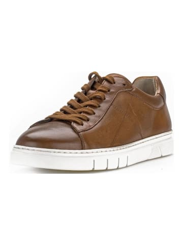 Pius Gabor Sneaker in Cognac