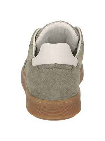 Sioux Sneaker Tedroso-708 in grün