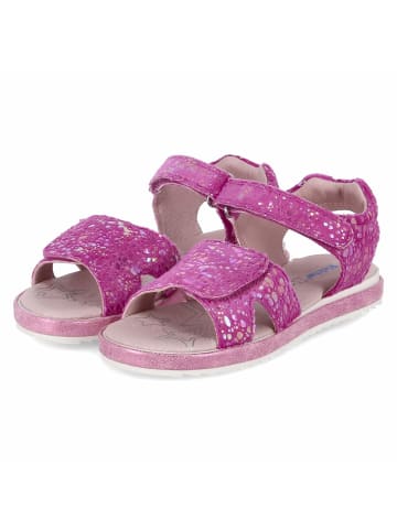 Richter Shoes Sandalen in Pink