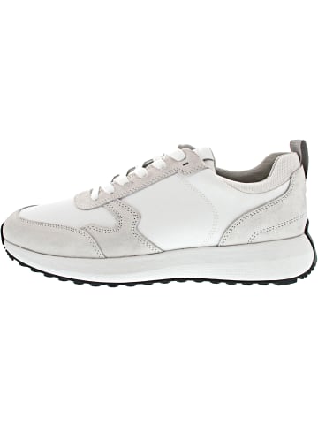 Geox Sneaker low Weiß