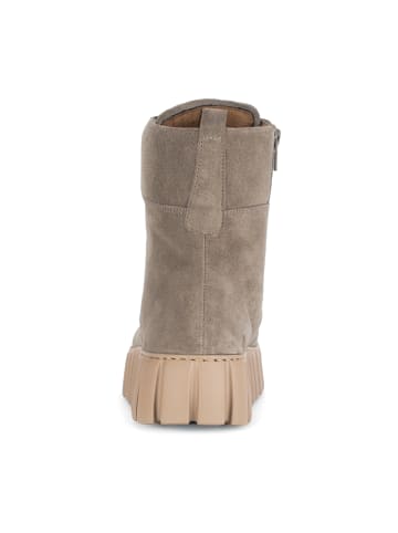 Gabor Comfort Plateau Stiefeletten in Beige