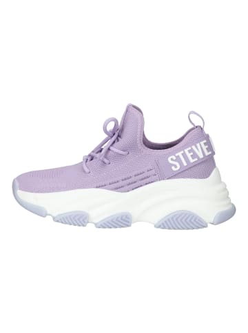 Steve Madden Sneaker in Lavender