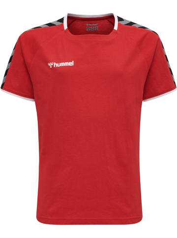 Hummel Hummel T-Shirt Hmlauthentic Multisport Kinder in TRUE RED