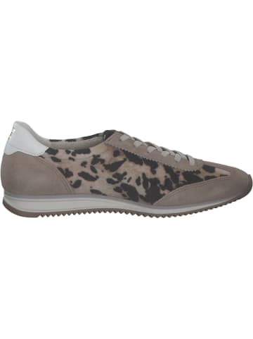 Paul Green Schnürschuhe in sand/leo