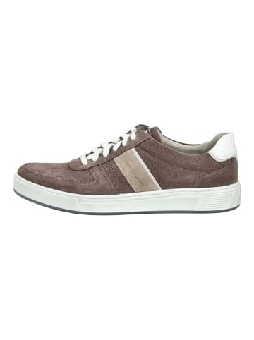 Pius Gabor Sneaker in Braun/Beige