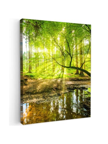 MuchoWow Leinwand bilder Waldlicht