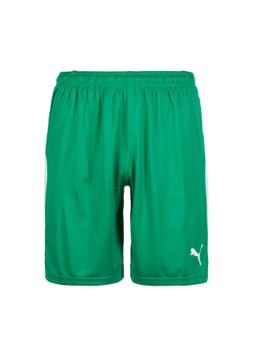 Puma Shorts Liga in grün / weiß