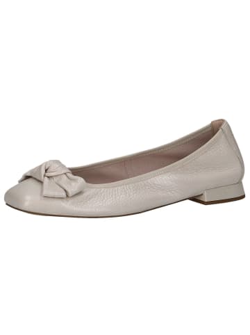 Caprice Ballerina in PEARL PERL DEE
