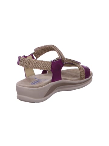 wolky Schnürschuh in rosa