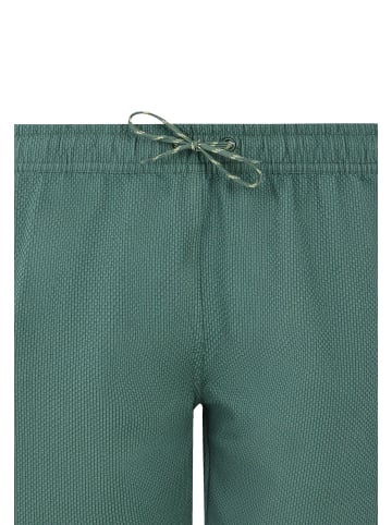 Protest " PRTAgaat 25 in Veggie Green