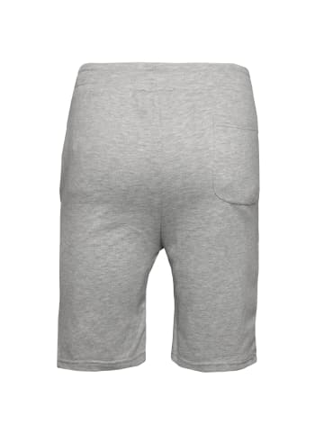 Alpha Industries Shorts Basic Short AI in grau