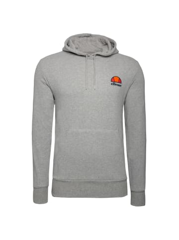 ellesse Kapuzenpullover Toce OH in grau