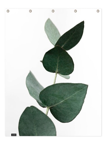 Juniqe Duschvorhang "Eucalyptus 4" in Grün