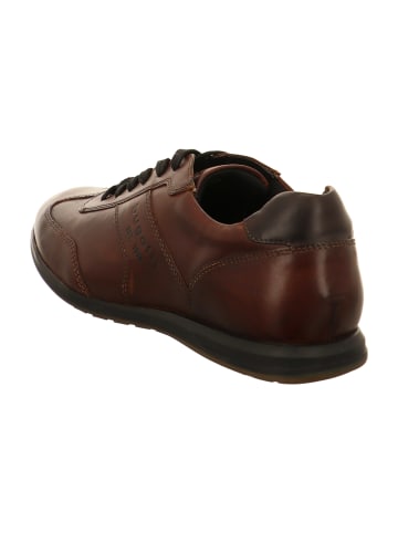 Bugatti Sportliche Schnürschuhe in Braun