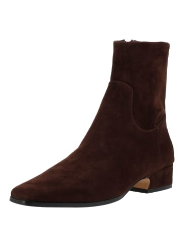 Steve Madden Stiefelette DUSTY in Chocolate