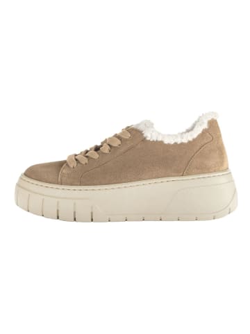 Gabor Sneaker in Desert