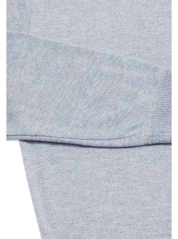 rovic Herren Pullover in Hellgrau Melange