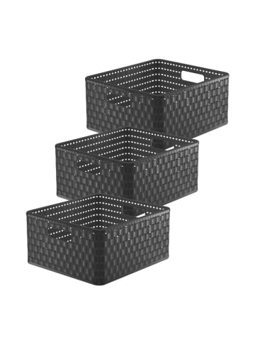 Rotho Country 3er-Set Aufbewahrungsbox 14l in Rattan-Optik in Anthrazit