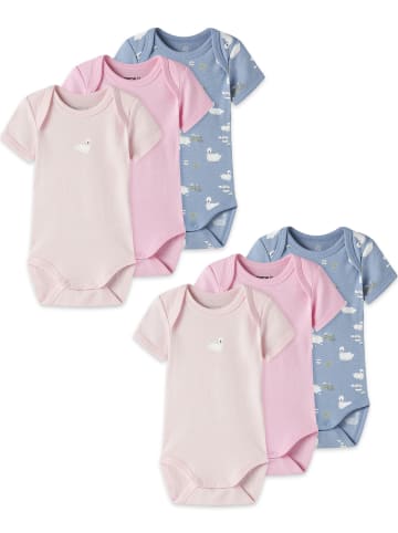 name it Kurzarm Body 6er-Set Amerikanischer Ausschnitt in Blau-Rosa