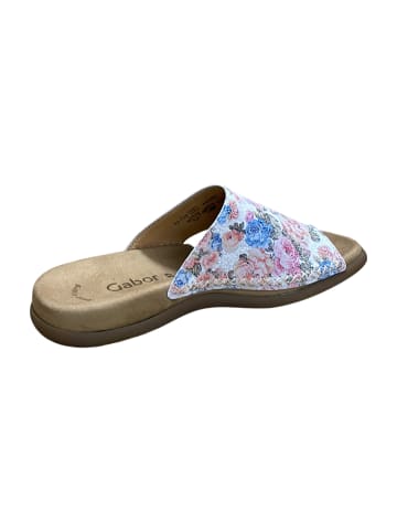 Gabor Zehentrenner in Bunt