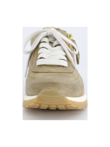 Paul Green Sportliche Schnürschuhe in Grün