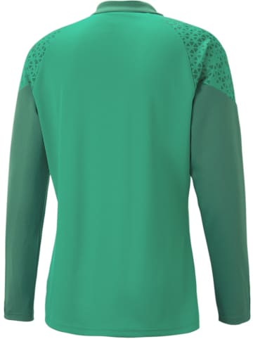 Puma T-Shirt "TeamCUP Training 1/4 Zip Top" in Grün