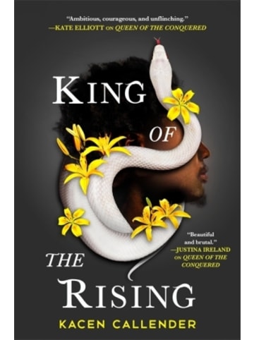 Little, Brown Book Group Buch - King of the Rising