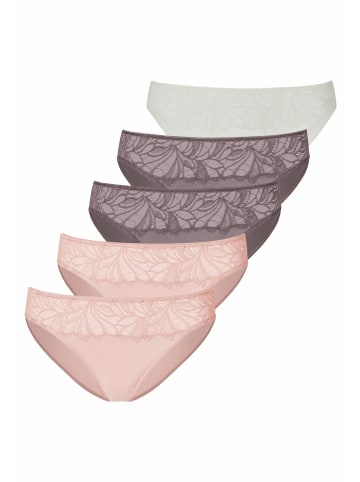 Vivance Jazz-Pants Slips in rosé, taupe, creme