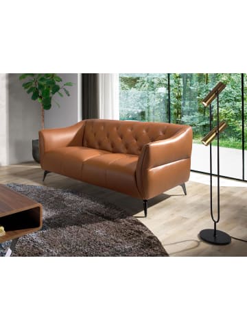 Angel Cerdá Chester-Sofa 6168 in Braun / Stahl