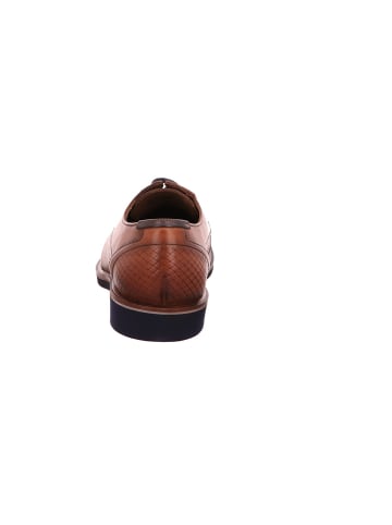 LLOYD Lowtop-Sneaker in CAMEL/ATLANTIC BLUE