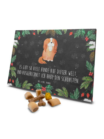 Mr. & Mrs. Panda Adventskalender Hund Hund Cavalier King Charles... in Kreidetafel