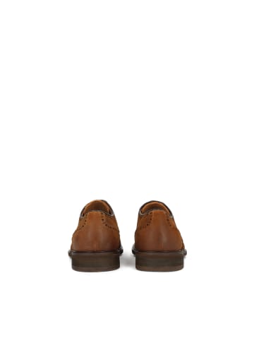 Kazar Schnürschuhe in Braun