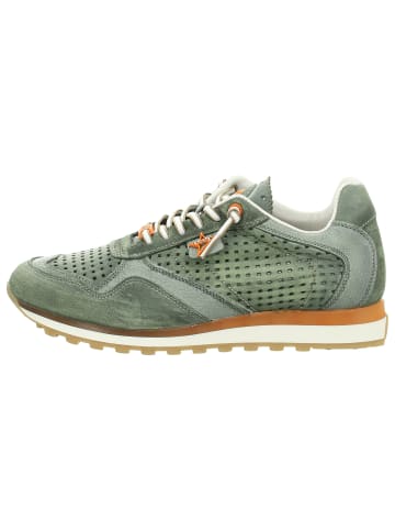 Cetti Sneaker in dunkelgrün