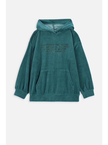 Coccodrillo Sweatshirt in grün