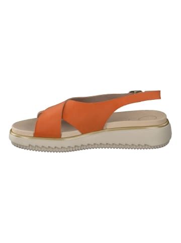 Paul Green Sandalen in Orange