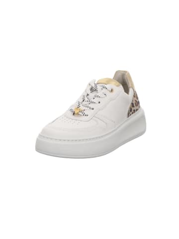 Gabor Sneaker in weiß