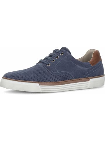 Pius Gabor Sneaker für Herren in uni